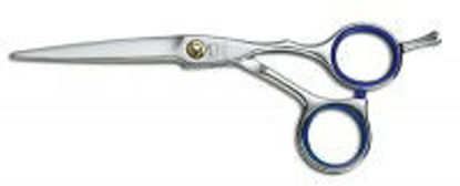 Billede af Saks Jaguar Loop 5¼"