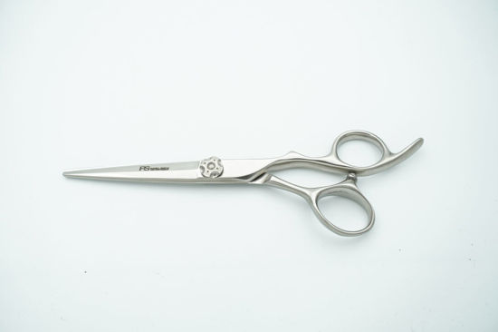 Billede af Saks PS A-17-2   5,75"  V1 -Stål